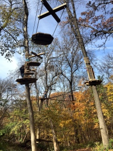 Go Ape Course from below Fear of Heights Challenge