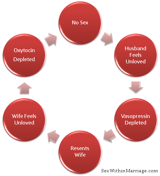 Low Frequency Sex Cycle Pic