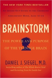 Brainstorm- The Power & Purpose of the Teenage Brain - book