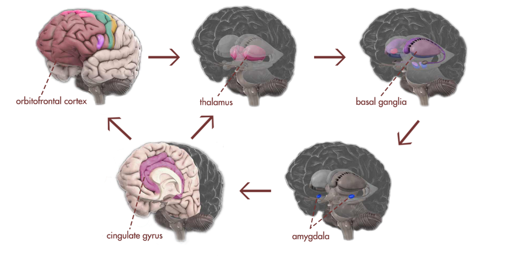 OCD Thought Processes