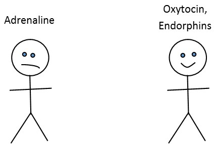 adrenaline-oxytocin-endorphins