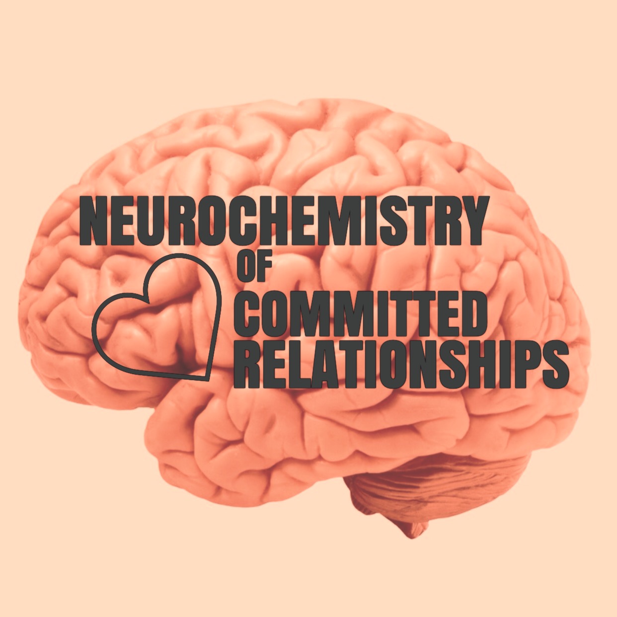 Neurochemistry of Committed Relationships