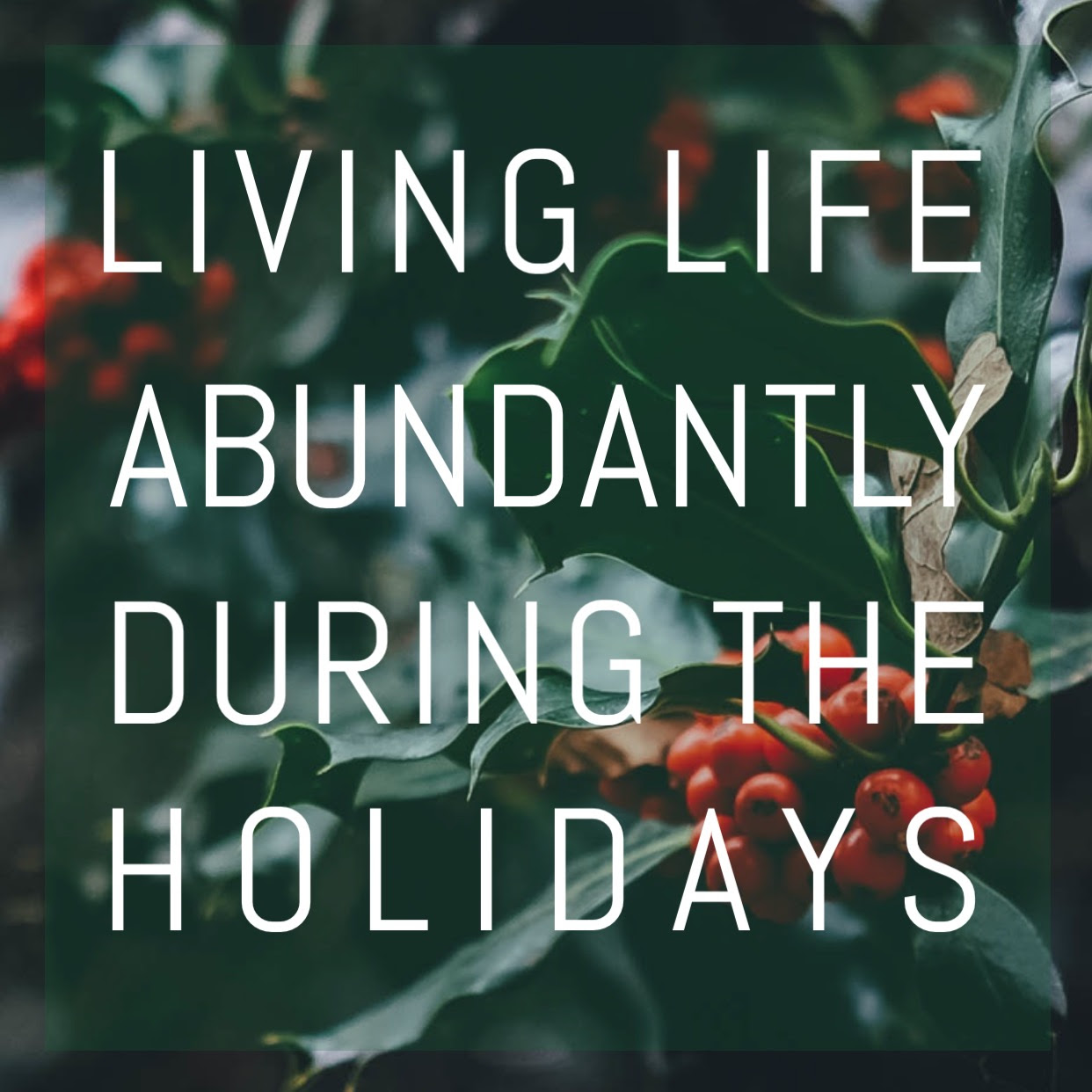 Living Life Abundantly During Christmas & Holidays