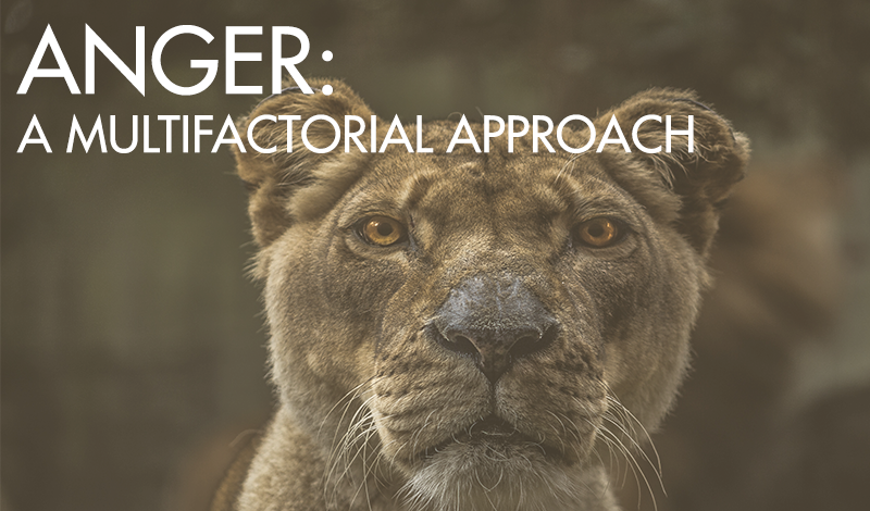 anger multifactorial approach - lioness with words