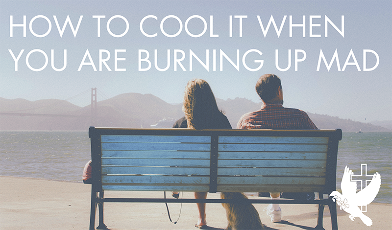 how-to-cool-it-when-you-are-burning-up-mad by byron loy, Agape Christian Counseling Services St Louis MO